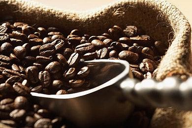 《宝可梦 TCG Pocket》新卡包强度逆天 玩家创造50连胜 最高伤害突破游戏限制