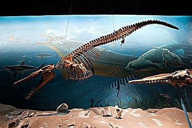 《美国联合教派》steam页面上线 教派经营模拟