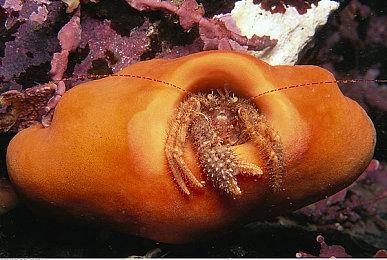 Xbox中国可能泄露了《最终幻想7：重制版》Xbox版